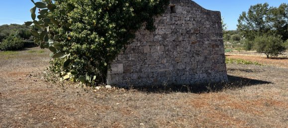 1 chambre Terrain à Cisternino, Italy No. 149814 2