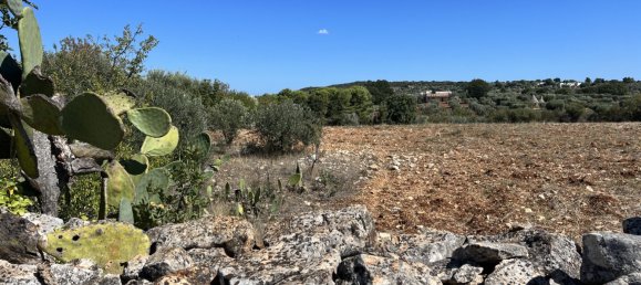1 chambre Terrain à Cisternino, Italy No. 149814 3