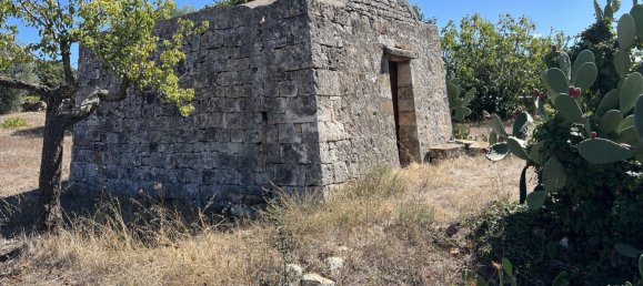 1 chambre Terrain à Cisternino, Italy No. 149814 11
