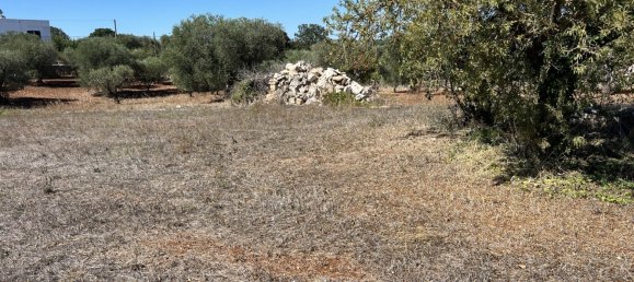 1 chambre Terrain à Cisternino, Italy No. 149814 9