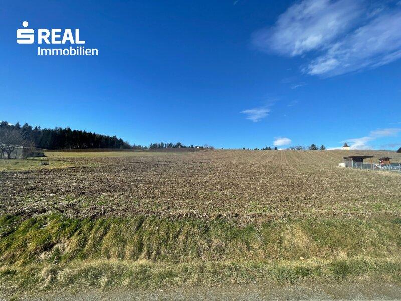  Land in Heimschuh, Austria No. 164050