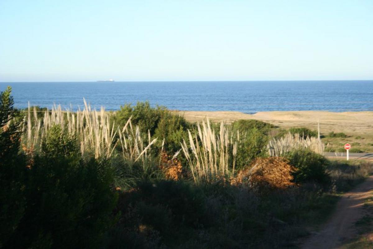  Land in Maldonado, Uruguay No. 14450