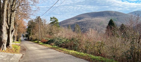  Land in Tullnerbach, Austria No. 31789 4