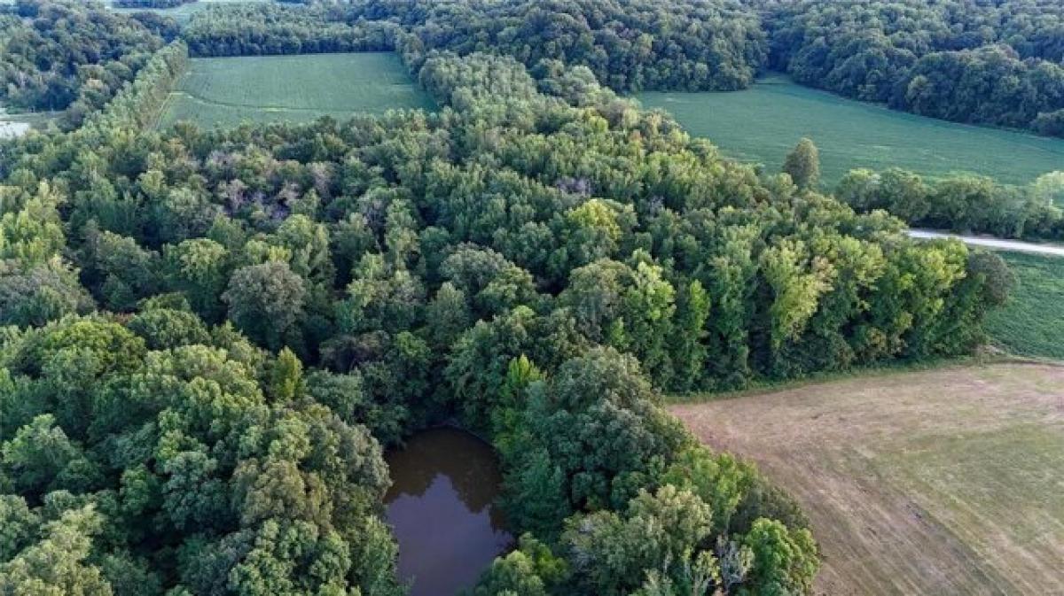  Land in Cape Girardeau, USA No. 479986