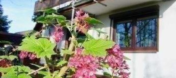 8-Zimmer Stadthaus in Pinneberg, Germany, Nr. 283743 4