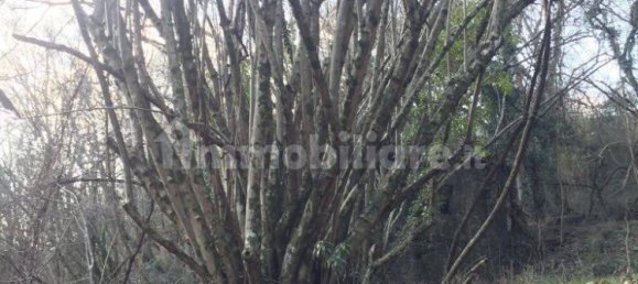 3 rooms House in Bagnone, Italy No. 103756 5