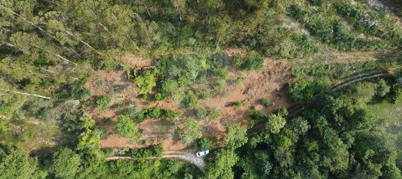 Дом с 3 спальнями в Барселуш, Португалия № 42857 10