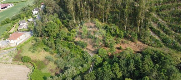 Дом с 3 спальнями в Барселуш, Португалия № 42857 8