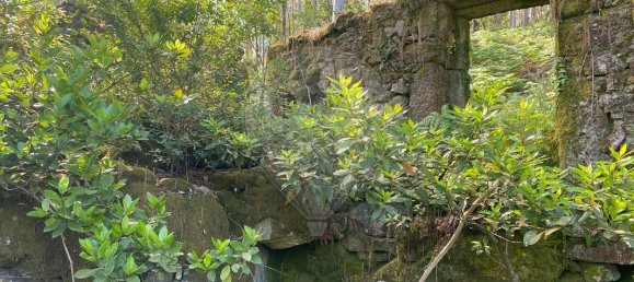 Дом с 3 спальнями в Барселуш, Португалия № 42857 2