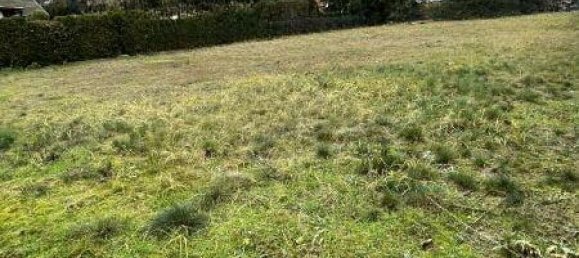 Terreno em Oberhavel, Germany N.º 30273 2