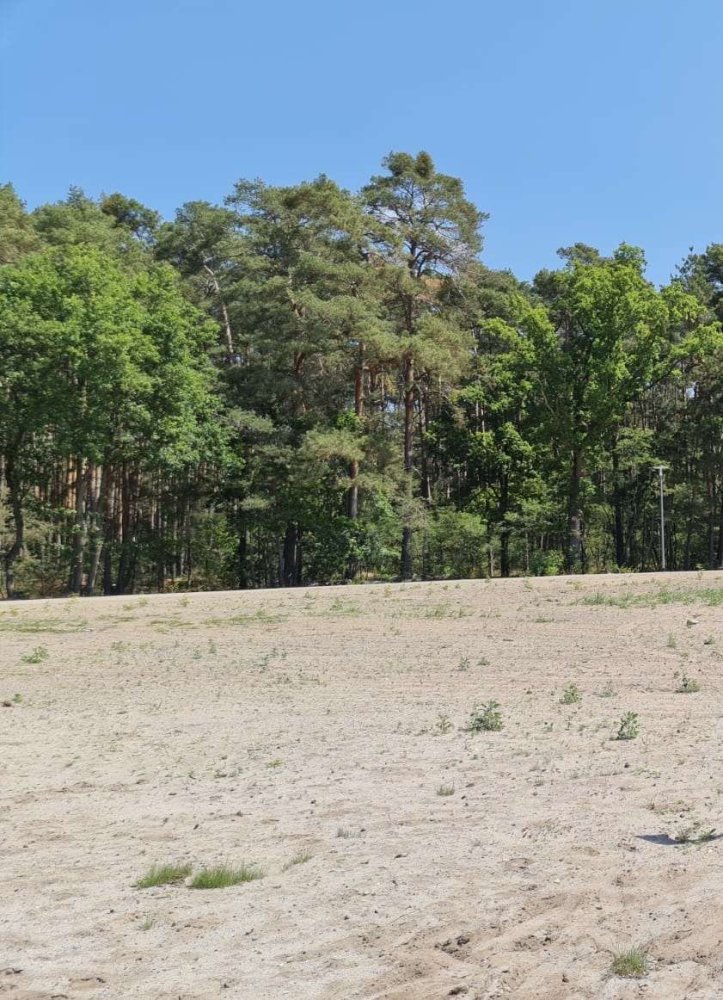 Terreno em Potsdam-Mittelmark, Germany N.º 229658