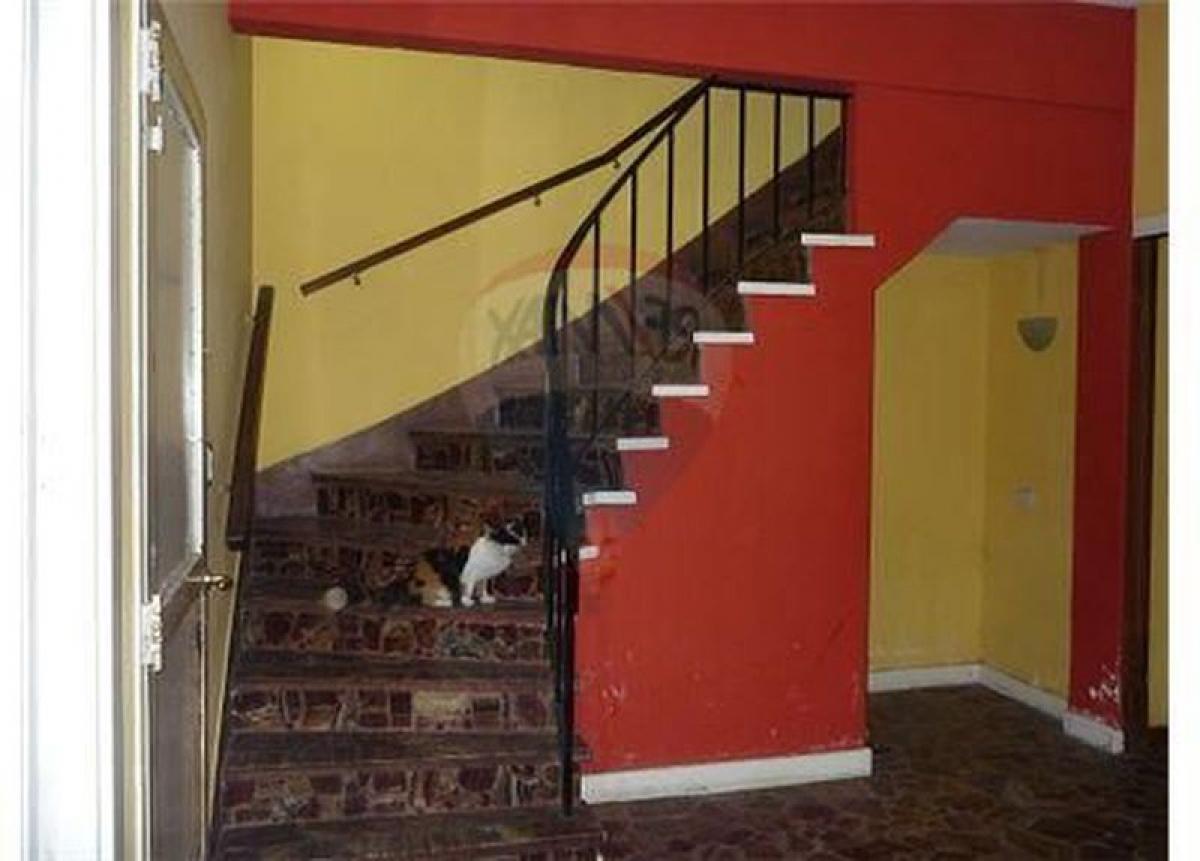 6 bedrooms House in Buenos Aires, Argentina No. 74284