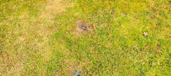 1695m² Land in Heimschuh, Austria No. 130602 6