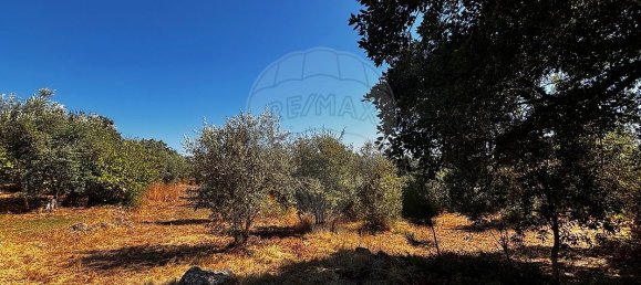 2 Schlafzimmer Haus in Tomar, Portugal, Nr. 257971 2