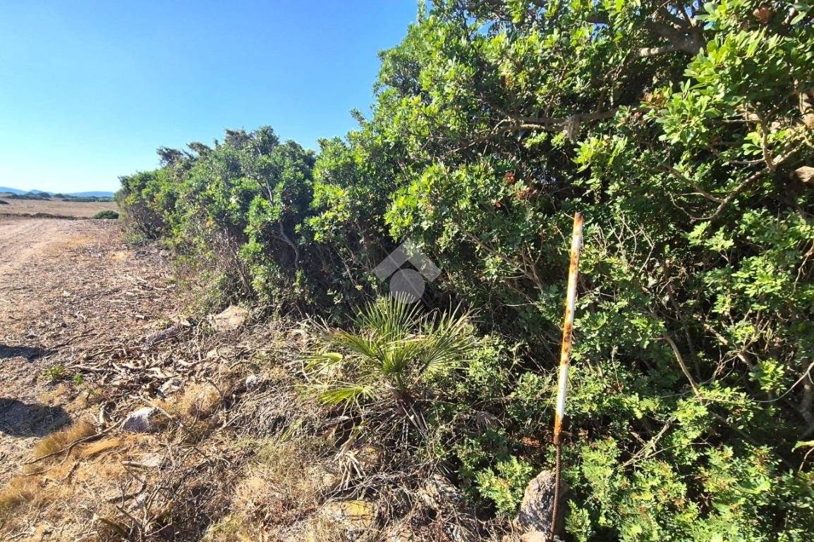  قطعة أرض في Sardinia, Italy 100000متر مربع رقم 290016