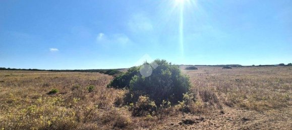  قطعة أرض في Sardinia, Italy 100000متر مربع رقم 290016 2