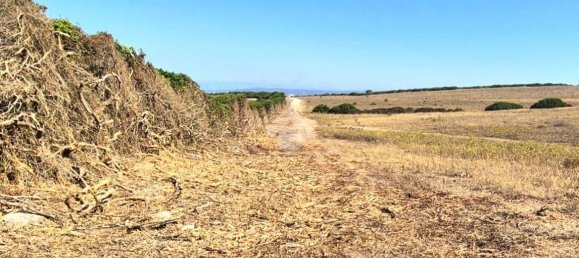  قطعة أرض في Sardinia, Italy 100000متر مربع رقم 290016 10