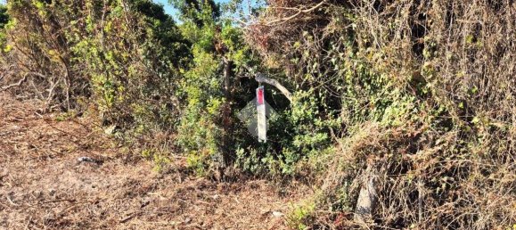  قطعة أرض في Sardinia, Italy 100000متر مربع رقم 290016 11