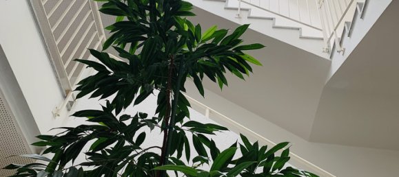 Квартира с 5 комнатами в Альтах, Австрия № 14045 25