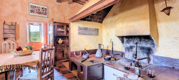 43 rooms Villa in Monteroni d'Arbia, Italy No. 211941 8