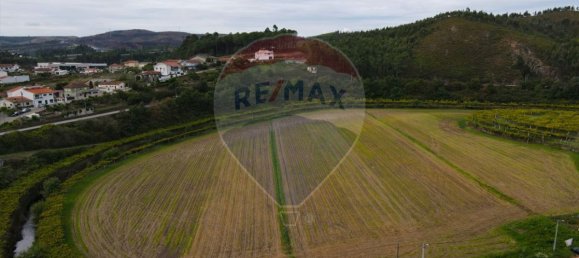 Дом с 9 спальнями в Валонгу, Португалия № 37608 6