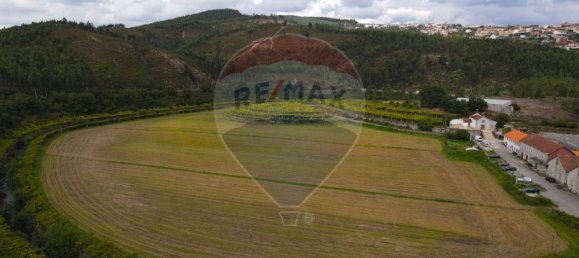 Дом с 9 спальнями в Валонгу, Португалия № 37608 4