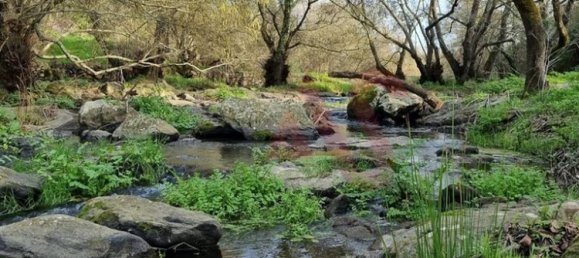 4 غرف نوم منزل في Montemor o Novo, Portugal رقم 15079 3