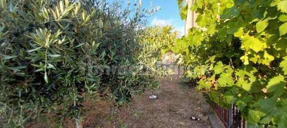 3 chambres Appartement à Belvedere Marittimo, Italy No. 283166 28