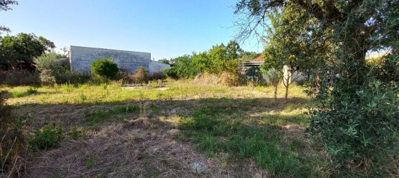  قطعة أرض في Tomar, Portugal 1650متر مربع رقم 79611 10