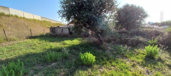  قطعة أرض في Tomar, Portugal 1650متر مربع رقم 79611 8