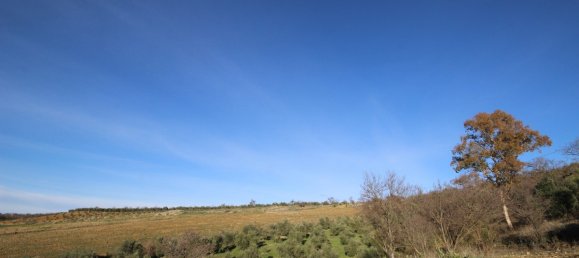 Дом с 3 спальнями в Ронда, Испания № 85783 16