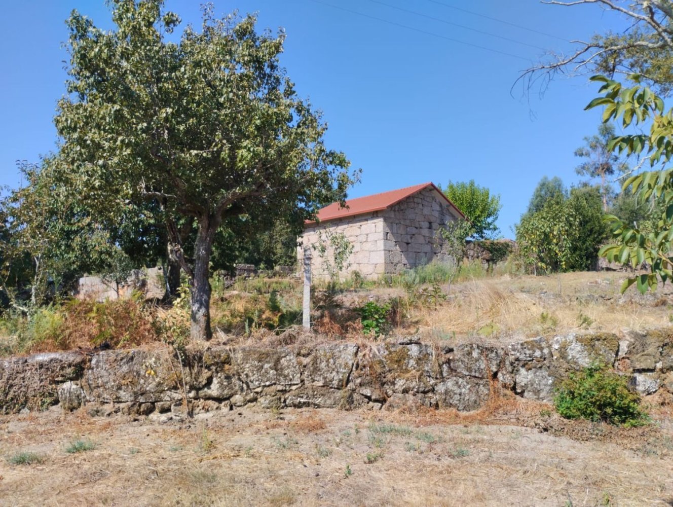 Grundstück in Santa Comba Dao, Portugal, Nr. 352337