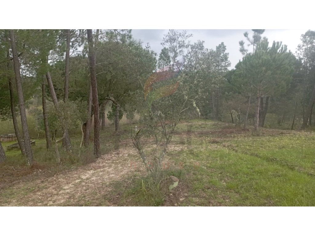 Grundstück in Montargil, Portugal 750m², Nr. 235182