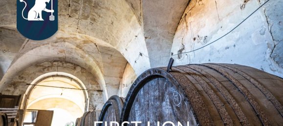 10 rooms House in Arnesano, Italy No. 173941 43