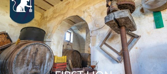 10 rooms House in Arnesano, Italy No. 173941 40