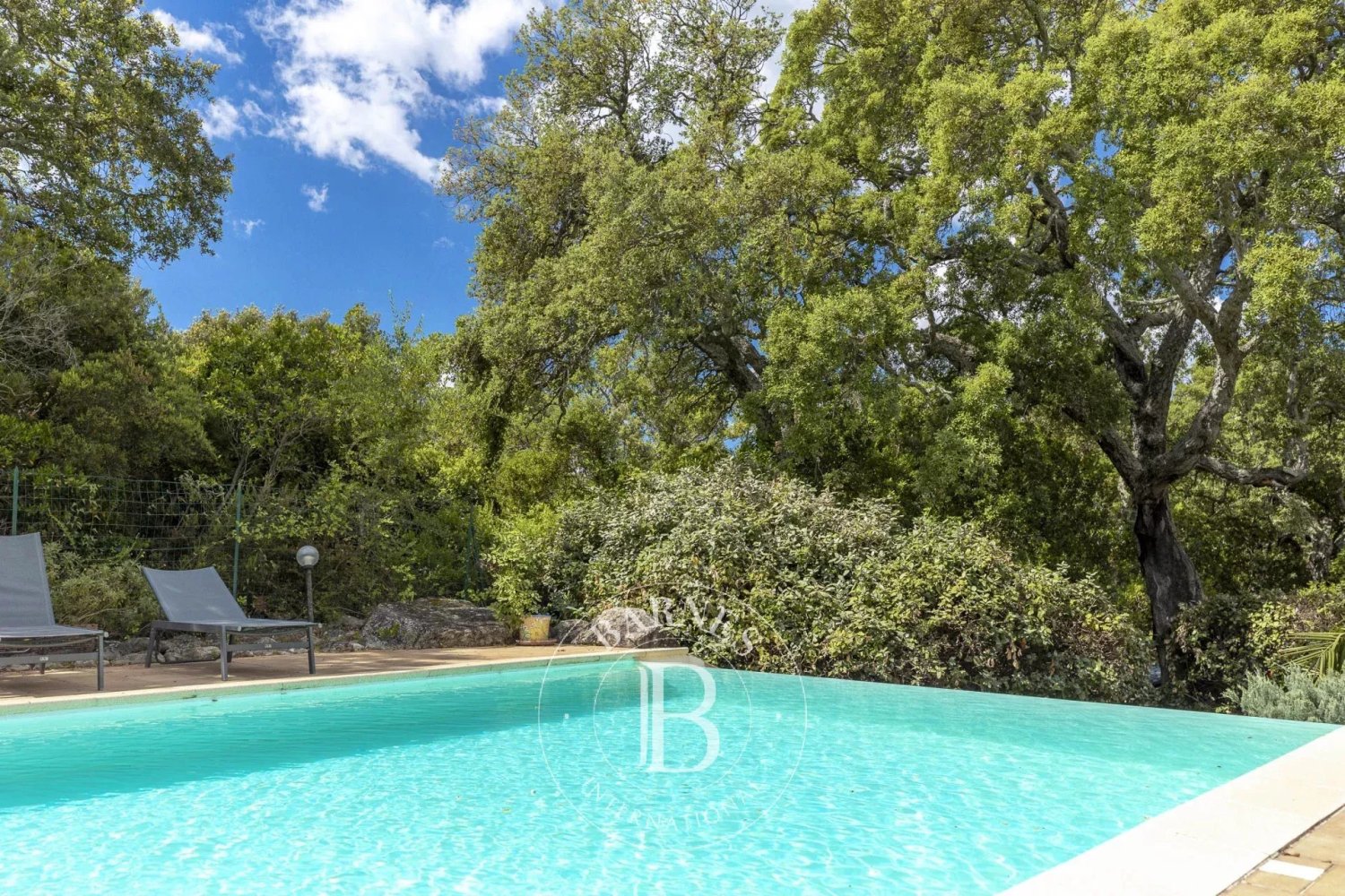 Дом с 7 спальнями в Дзондза, Франция № 79113