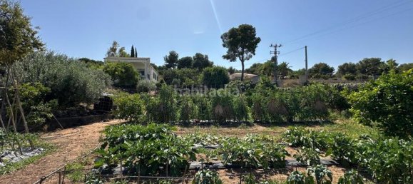 5 chambres Maison à Carlet, Spain No. 161995 33
