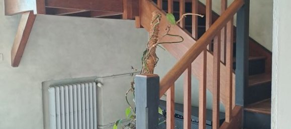 4 Schlafzimmer Haus in Odos, France, Nr. 338756 7