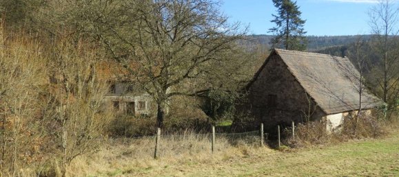 4 bedrooms Castles in Rhein-Neckar-Kreis, Germany No. 63679 14