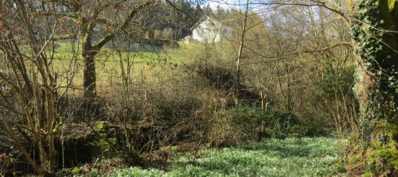 4 bedrooms Castles in Rhein-Neckar-Kreis, Germany No. 63679 11