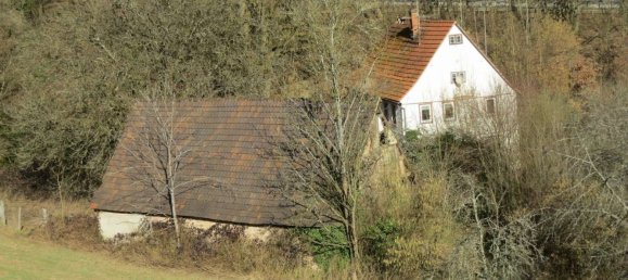 4 bedrooms Castles in Rhein-Neckar-Kreis, Germany No. 63679 2