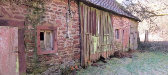 4 bedrooms Castles in Rhein-Neckar-Kreis, Germany No. 63679 4