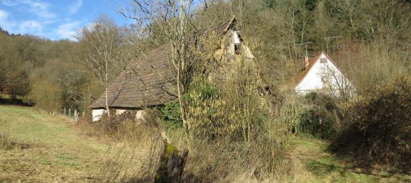 4 bedrooms Castles in Rhein-Neckar-Kreis, Germany No. 63679 13