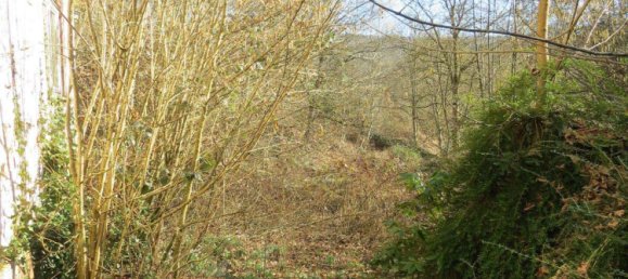 4 bedrooms Castles in Rhein-Neckar-Kreis, Germany No. 63679 7