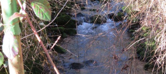 4 bedrooms Castles in Rhein-Neckar-Kreis, Germany No. 63679 9