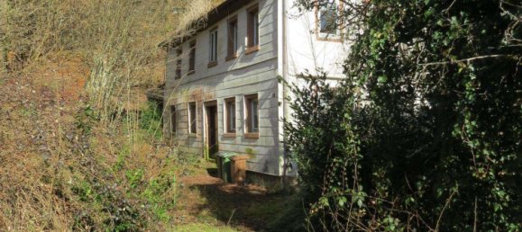 4 bedrooms Castles in Rhein-Neckar-Kreis, Germany No. 63679 5