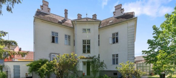 14-Zimmer Stadthaus in Wiener Neustadt, Austria, Nr. 210982 22