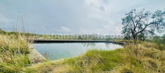 4 bedrooms House in Lucar, Spain No. 12380 17