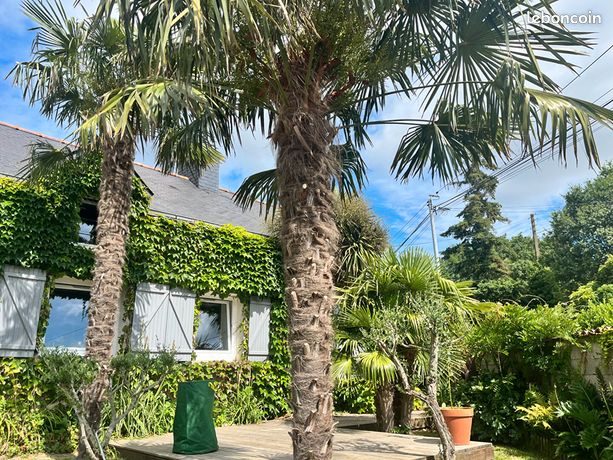 Casa T2 em Loire-Atlantique, France N.º 284674