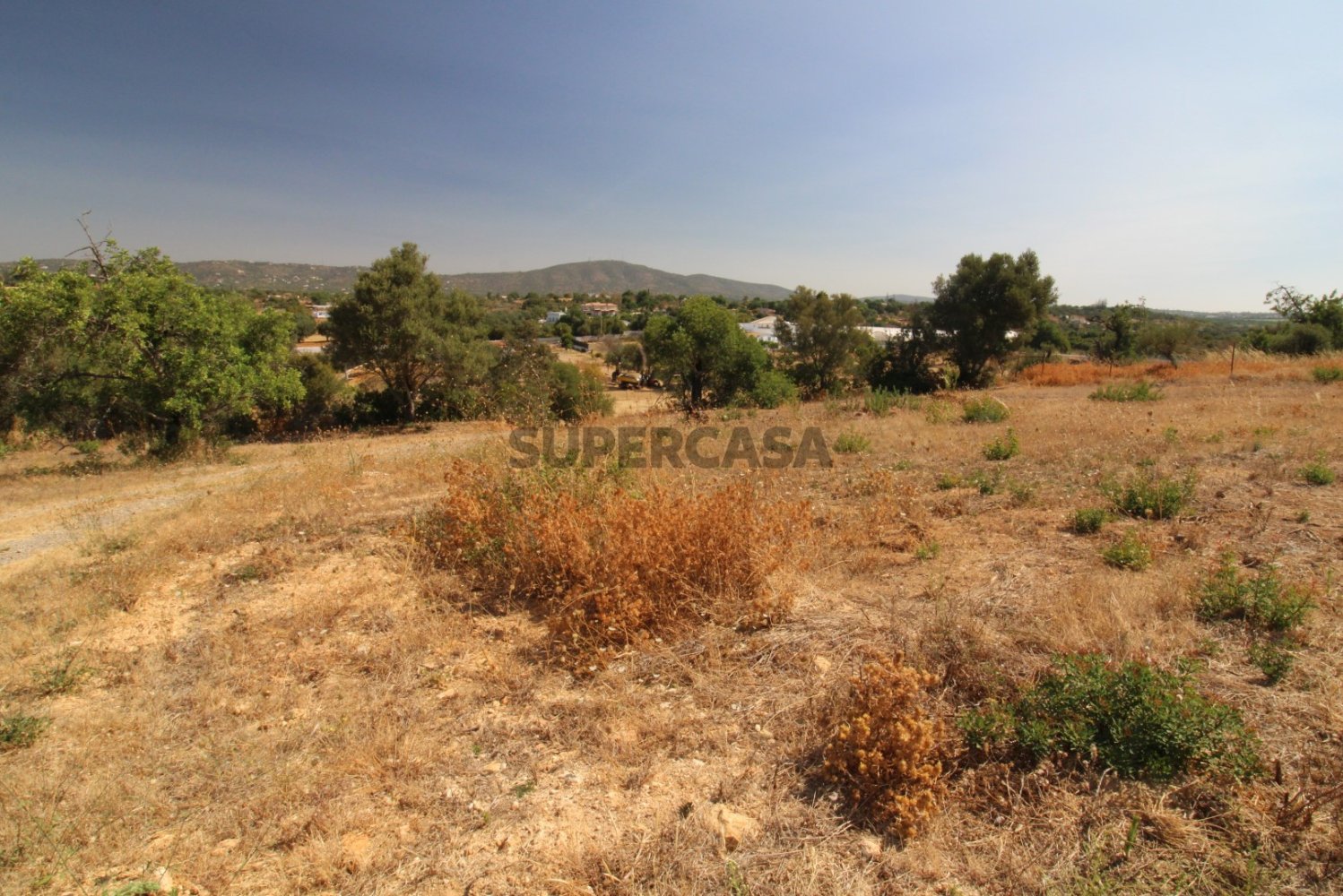 Terrain à Pechao, Portugal No. 213173